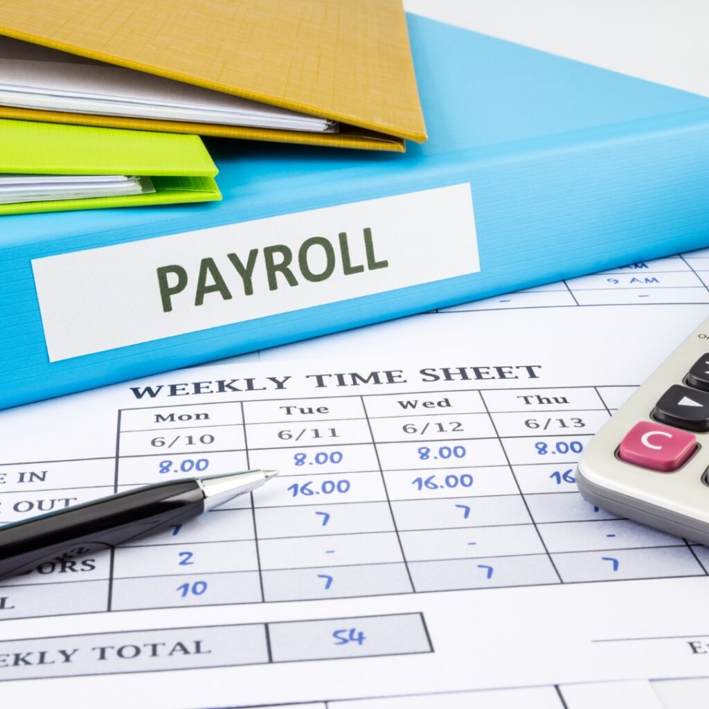 Professional managing accurate and compliant payroll processing with automated salary payments and employee self-service porta