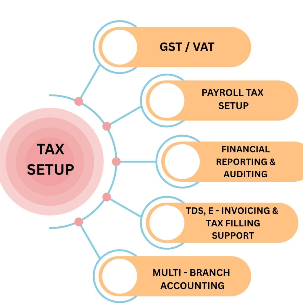 Professional accountant setting up compliance and tax details on a laptop, ensuring accurate financial records and avoiding penalties